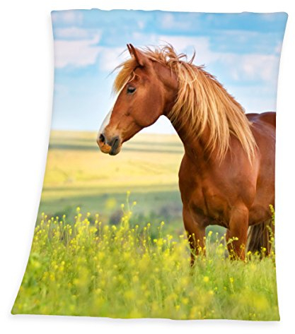 Herding Young Collection Fleece-Kuscheldecke, Pferde Motiv, 130 x 160 cm, Polyester