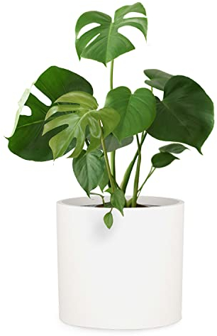 Fox&Fern Übertopf XL - Blumentopf Gross inkl. Wasserabfluss - Blumentopf hoch 34cm - Übertöpfe für Zimmerpflanzen - 38cm Durchmesser - Pflanzentöpfe groß - Plant Pot - mattweiß