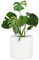 Fox&Fern Übertopf XL - Blumentopf Gross inkl. Wasserabfluss - Blumentopf hoch 34cm - Übertöpfe für Zimmerpflanzen - 38cm Durchmesser - Pflanzentöpfe groß - Plant Pot - mattweiß
