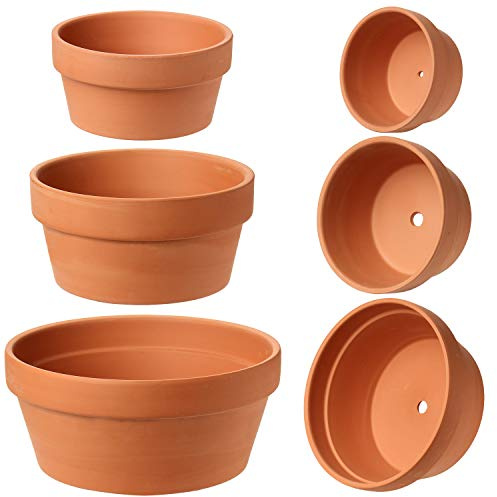 Lot de 3 pots de fleurs en terre cuite avec trou de drainage - Différentes tailles, parfaits pour les cactus et les plantes succulentes
