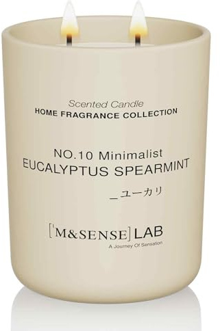 M&SENSE Scented Candles 470g Eucalyptus Mint 2-Wick Natural Soy Wax Large Candles 110H Long Burning Minimalist Aromatherapy Candles Gift for Men, Perfect Christmas Gifts for Women and Men.