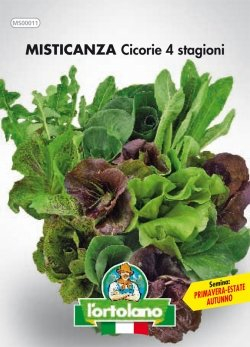 Sementi orticole di qualità l'ortolano in busta termosaldata (160 varietà) (MISTICANZA CICORIE 4 STAGIONI)