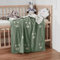 EVERSOFT FABRICS Premium Babydecke, 350 g, 100 % türkische Bio-Baumwolle, Öko-Tex 100 zertifiziert, leicht und weich, ideal für empfindliche Haut, perfekt für Neugeborene & Kleinkinder (Bärgrün & Weiß