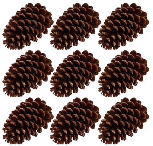 VALICLUD Lot de 9 Pommes de Pin Sapin Naturelles Marron en Pin pour Décoration DIY et Décoration Intérieure Chic et Pratique