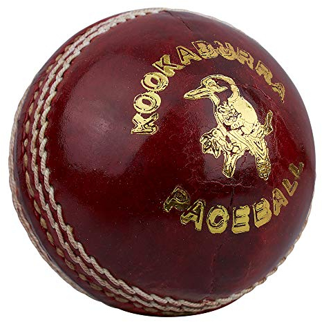 Kookaburra Paceball Cricketball, 156 g, Rot, Herren
