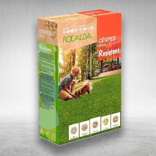 Césped Resistente 1 KG - Variedad Muy Resistente a la Pisada - Excelente aspecto estético durante todo el año - Rendimiento 25 m2 - Muy bajo mantenimiento y resistente a sequía - Rocalba Nexum Market