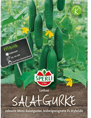 Sperli Salatgurkensamen Lothar, F1 80861 – robuste Mini-Salatgurke, kübelgeeignet - Inhalt für 7 Pflanzen - Samen Gemüse, Gemüsesamen, Gemüse Pflanzen