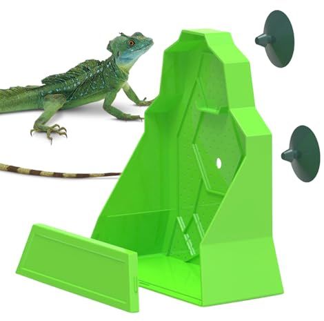 Reptilfoder – magnetisk Gecko-Ledge med 4 avtagbara koppar, ihålig vindesign | reptilutfodringsanläggning, magnetisk gecko-matare, ihåliga vinstockar, livsmedelsskål, terrarium fodertillbehör
