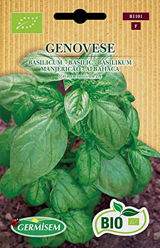 Germisem Bio Graines Basilic GENOVESE