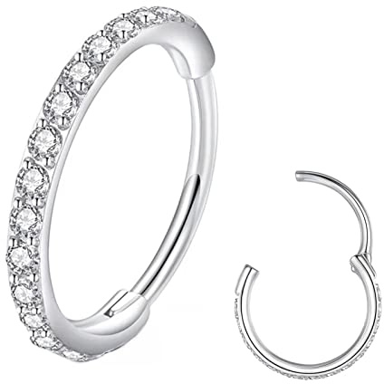 BLESSMYLOVE Clear CZ Silver 20G 8mm Nose Rings Hoop 316L Surgical Steel 20 gauge Cartilage Earrings Conch Daith Helix Rook Tragus Lobe Snug Body Piercing Jewelry Stainless Hinged Segment Lip
