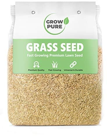Grass Seed (500g Covers up to 30 sqm) Fast Growing Grass Seed for Quick Lawn Patch Repair and New Lawns. 500g Hard Wearing Suitable for Shade and UK Climate.