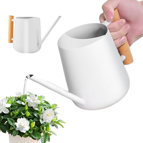 LEKEFETO Arrosoir blanc pour plantes d'intérieur : 1 L en acier inoxydable avec bec long et manche en bois, pour plantes succulentes, pot et fleurs