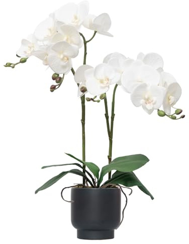 CXGS Orchids Artificial Flowers Real Touch Fake Flowers in Ceramic Pot 20 White Faux Orchid Plant Lifelike Silk Phalaenopsis for Centerpiece Hotel Home Indoor Decor