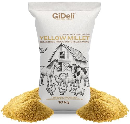 GiDeli Mijo amarillo 10 kg – Comida para periquitos de mijo – Comida para canarios y aves de compañía