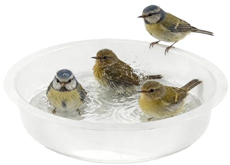 Bandeja Plana de de Pájaros | Plato de Alimentación - Plato de Repuesto para de Aves,para Pinzones, Gorriones, Inseparables, Jardín, Patio, Terraza, Exterior, Balcón,