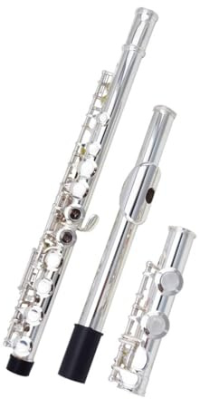 tvärflöjt instrument Flöjtinstrument nybörjare 16 hål E-nyckel professionellt instrument