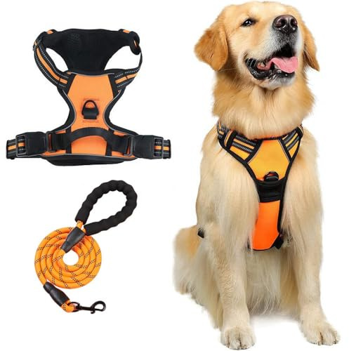 Dragsele hund, hundsele, jägare sele hund, hundsele, säkerhetssele hund, anti-drag-sele, andas och vadderad, för hundar av alla storlekar (orange + koppel, XL (22–45 kg))