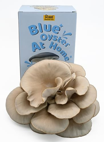 Root Mushroom Farm— Blue Oyster Mushroom Grow kit/ 3.2 pounds Log/Multiple flushes/Everything Included