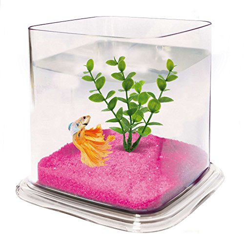 ICA PT072A Bettera Betta Paradise Transparent, 13,5 x 15 x 15 cm, 1,9 l, Gravier et Plante en Plastique Inclus