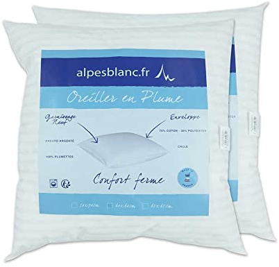 Alpes Blanc Juego de 2 Almohadas Plumas Cuadros/Lot 2 Almohadas Naturales en Plumas/Lot de Almohada de Lujo de Plumas de Pato, 65 x 65 cm