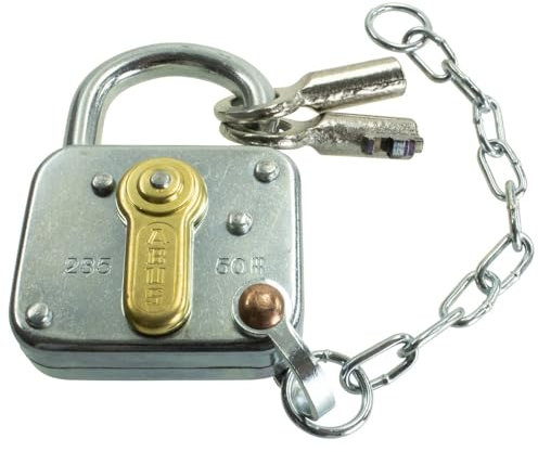 Abus Vorhangschloss 235Z/50 mit Seitenbügel und Kette, gleichschließend 01763 (235Z/50 Hangschloss Vorhängeschloss Vorhangschloß Vorhängeschloß Hangschloß) Schließung: gleichschließend/Breite: 50 mm
