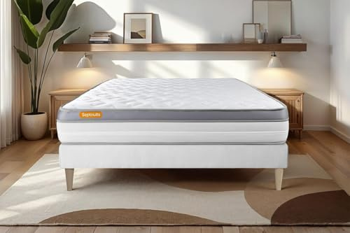 Septnuits Matelas 180x200 Memo Zen Mousse à mémoire de Forme 5 Zones de Confort Maxi épaisseur | Epaisseur : 26 cm | Confort : Ferme
