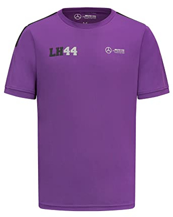 MERCEDES AMG PETRONAS Formula One Team - Lewis Hamilton Sport-T-Shirt - Violett - Männer - Größe: M