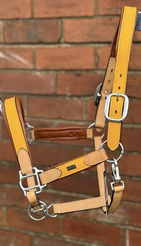 ARGENTINIAN LEATHER HEADCOLLAR HALTER COW LEATHER EXTRMELY SOFT LEATHER YELLOW (Pony)