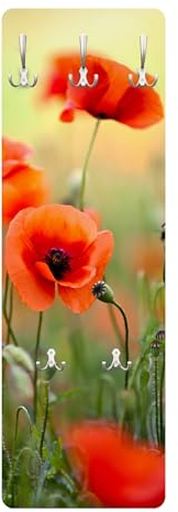 Bilderwelten Garderobe Blumen 105cm x 34cm Mohnblumen Natur 3D-Optik Garderobenhaken Garderobenpaneel Flurgarderobe Flur-Möbel Wandgarderobe Holz