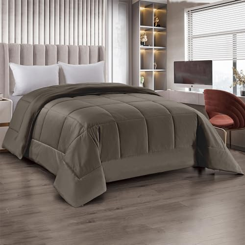 IlGruppone Trapunta Matrimoniale Velluto Piumone Invernale 625 Gr/Mq Piumino Caldo Due Piazze Inverno Coperta Duck Friendly (Tortora)