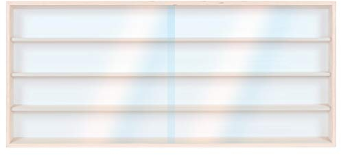 Alsino Setzkasten Wandvitrine Sammlervitrine v-120.4 - Maße: 120 cm x 39 cm x 8,5 cm - 2 Plexiglasscheiben, für Steine, Figuren & Sammler