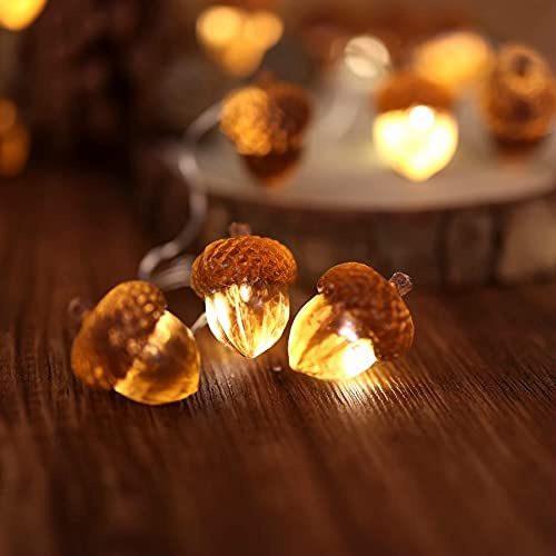 Thanksgiving ekollon ljus höst girlang dekorativ älva ljusslinga söt nyhet lampor 30 lysdioder 10 fot USB eller batteridriven för sovrum bröllop jul skörd dekor