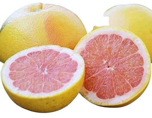 Pomelo Natural Cultiva tu Propio Huerto Cítrico en Casa - Árbol Frutal