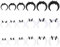 FloralGrace Septum Dehnstäbe Set, 18-teilig Mit Acrylringen In Schwarz, Weiß Und Transparent, Für Ohr, Nase Oder Lippen, Multifunktionales Stretching Kit Für Damen Und Herren