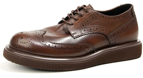 WinDhana Men's Dress Shoes Genuine Leather Derby Luxury Formal Business Suit Shoes for Men Cap-Toe Full-Brogues 66-7 Brown 9