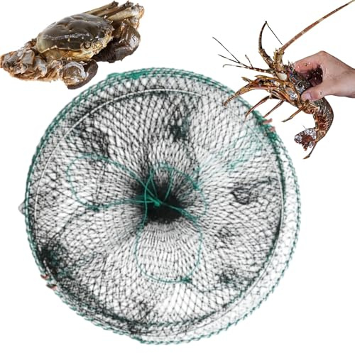 Celuicion Piège À Vairons | Cage Pliable À Appât Vivant | Piège À Crevettes 30,5 Cm X 61 Cm pour Eau Salée Rivière Lac Côte Homard Crabe Crevette Kayak Tortue Plage Eau Douce