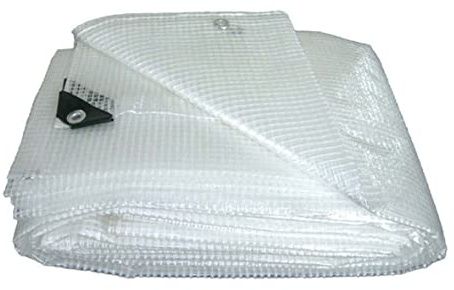 Kppen 6062D1 - Telone Retinato Trasparente con Grammatura da 160 g/m². Taglia 4x5 (20 m²)