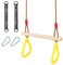 SILVER VALLEY Kids Trapeze Bar with Rings for Climbing Frame Attachment Outdoor Toys for Children, Monkey Bars, Tree Straps Included (Yellow)