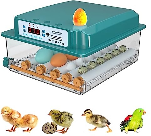 Auveach Automatic Egg Incubator Incubator for 16 Hen Eggs Automatic Temperature Control Automatic Egg Turning Double Electric Design