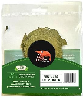 Gioia SHRIMP 10 Feuilles de Murier/Conditionneur d'eau/Alimentation pour crevette d'aquarium