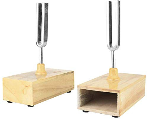 2 Pezzi Diapason 440HZ Vibrazione con Scatola Risonatore in Legno Energia Sonora Scienze Educazione Regali Scientifici con Scatola Risonatore in Legno Strumento
