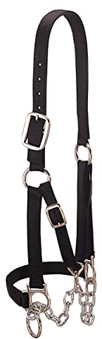 Weaver Lederhalfter, 35-0903-BK, Schwarz, Large