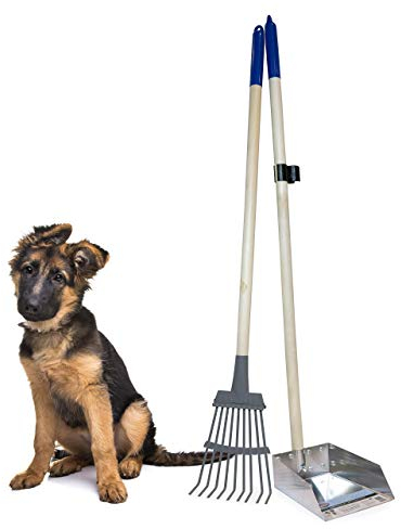 Spotty Kotschaufel mit Holzgriff, langlebig, solides Metall, mit Rechen, 93,3 cm Langer Schaufel, ideal für große oder kleine Hunde, Keine Montage erforderlich, Besser für die Umwelt als Kunststoff
