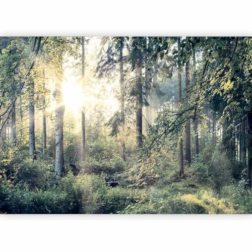 murando PREMIUM Carta da parati 350x256 cm Fotomurali in TNT Murale alla moda Decorazione da Muro XXL Poster Gigante Design Carta per Pareti Soggiorno Paesaggio Natura Foresta Albero c-C-0032-a-d