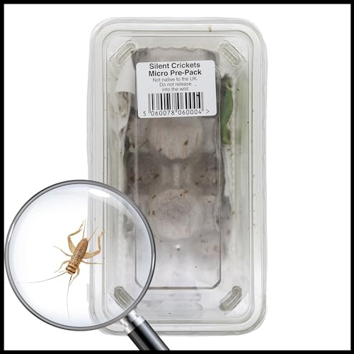 Livefoods4u Micro House Brown Crickets Live Food (1-2mm) - Live Food Perfect for Reptiles and Lizards - Sustainably bred | Livefood