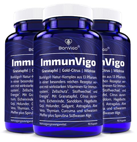 ImmunVigo Multi Konzept - Normale Funktion Immunsystem unterstützen Zink, Mangan, Kupfer, Vit. A B6 B12 C - Plus Naturkunde Komplex Granatapfel, Gold Citrus, Wildrose, Aloe Vera - 270 Kapseln (3)