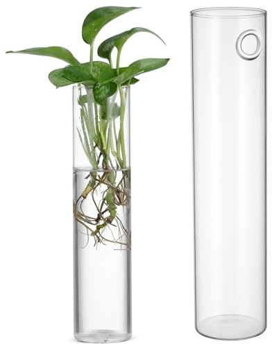 Mipcase Juego de 2 Jarrones de Vidrio Cilíndricos para Pared, Macetas Colgantes para Plantas Acuáticas, Decoración Moderna Hogar y Paredes Interiores