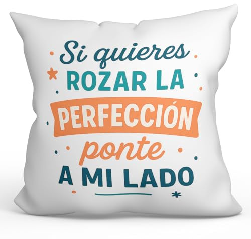 MUGFFINS Cojín con Relleno Cojines Originales para Regalar | Cojines Divertidos | Humor Borde | Si Quieres rozar la perfección, Ponte a mí Lado en Español | 40x40cm | poliéster | Graciosas v2