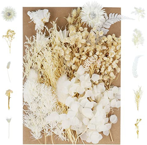 Pinenuts Real Dried Pressed Flowers, Mixed Multiple Natural Flowers Leaves, Floral Art Home Decoration for DIY Resin Pendant, Candle Making and Nail Jewelry Crafts(White)