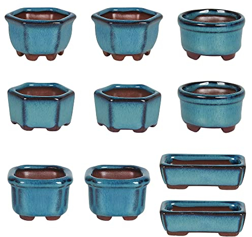 happy bonsai 1.8(4.5cm) 10 Mini Glazed Pots